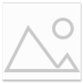 Лекции экспертов-практиков Академии